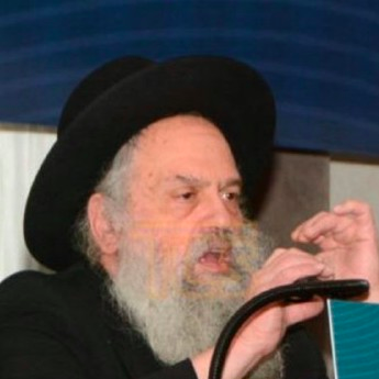 Hagaon HaRav Mendle Rabinowitz