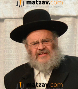 Rav Dovid Olewsky zt”l